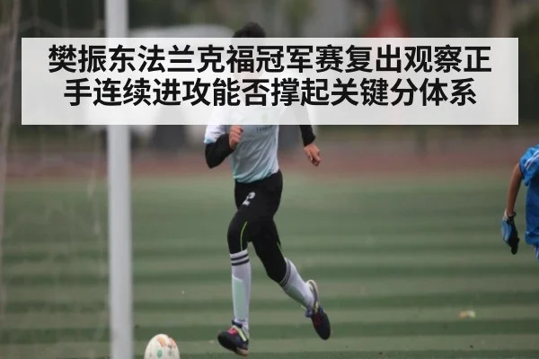 樊振东法兰克福冠军赛复出观察正手连续进攻能否撑起关键分体系 - kaiyun